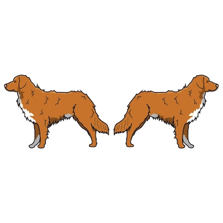 Signmission Nova Scotia Duck Tolling Retriever Dog Decal, Dog Lover Decor Vinyl Sticker D-24-Nova Scotia Duck Tolling Retriever